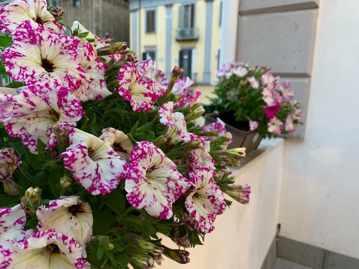 La Terrazza Sul Porto Leilighet Napoli Eksteriør bilde